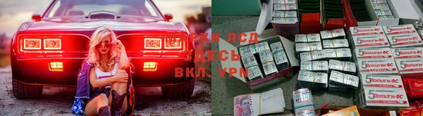 бошки Каменка