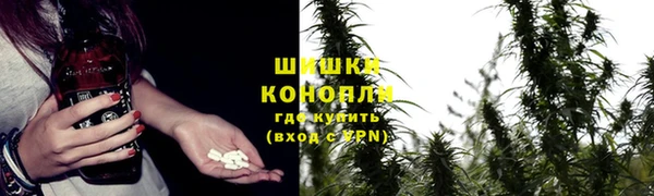 бошки Каменка