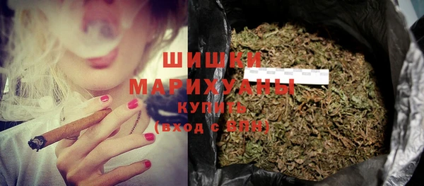 бошки Каменка