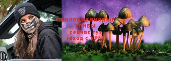 первитин Каменногорск