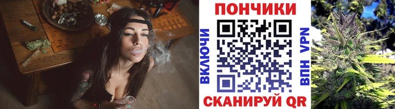 Бошки марихуана VHQ  Кедровый 